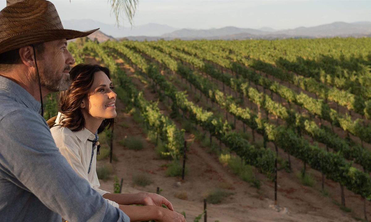 couple overlooking the vineyard