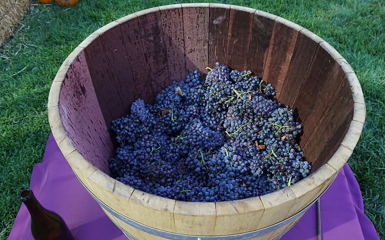South Coast Winery Resort & Spa