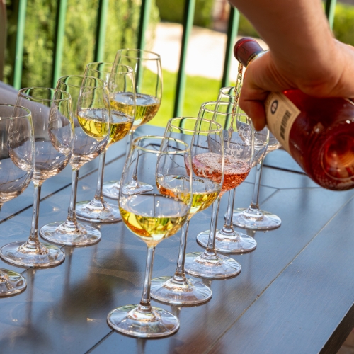 Temecula Wine Tasting | South Coast Winery