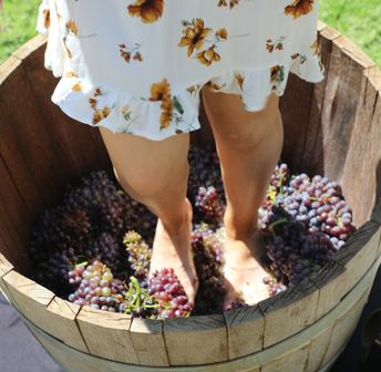Grape Stomp - Sept 16