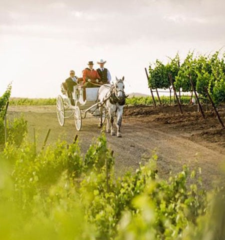 Horse & Carriage Package